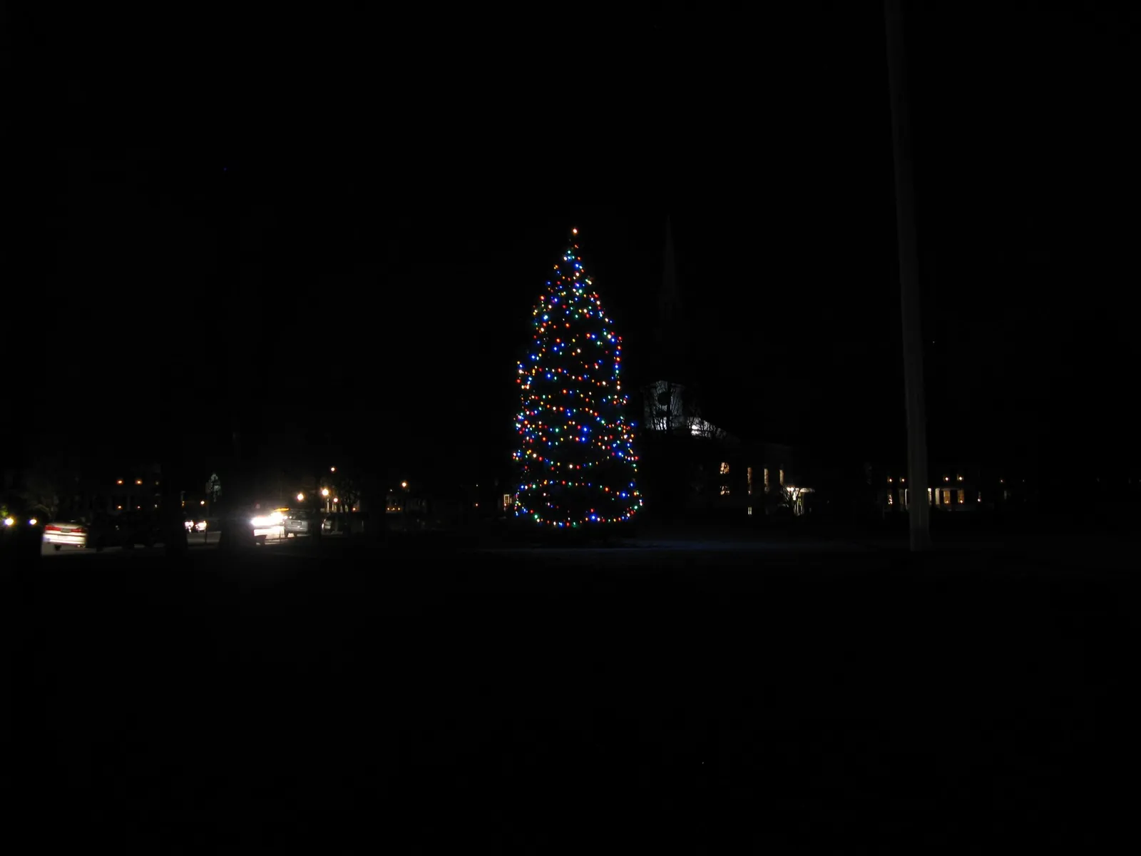 Christmas tree on Lexington Common